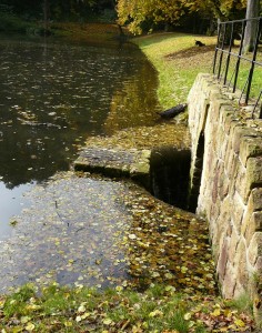 Přírodní rezervace Vinořský park