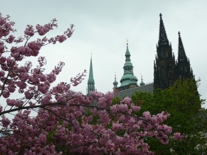 Chrám sv. Víta od severu